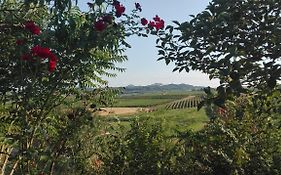 Agriturismo La Chiesina