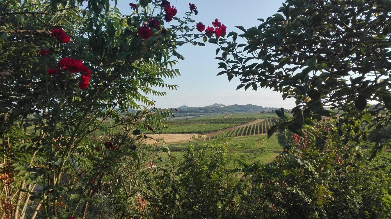 Agriturismo La Chiesina Abbadia di Montepulciano Extérieur photo