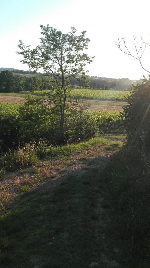 Agriturismo La Chiesina Abbadia di Montepulciano Extérieur photo